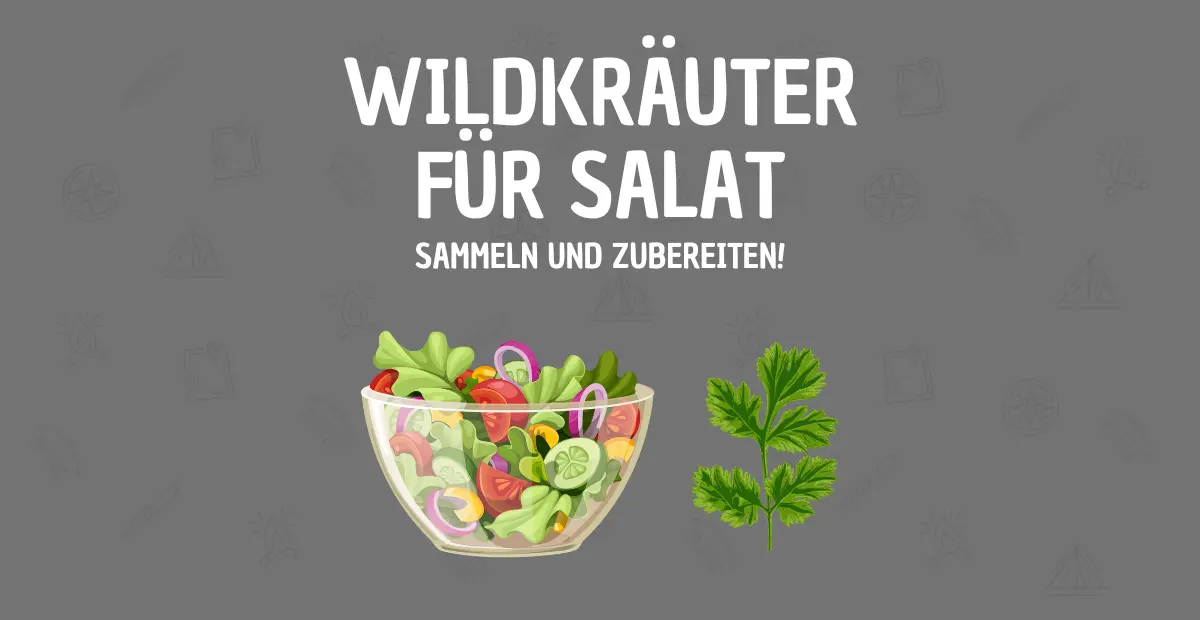 Wildkräuter für Salat