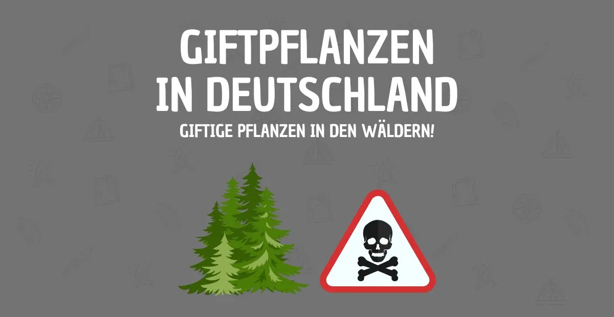 Giftige Pflanzen in Deutschland